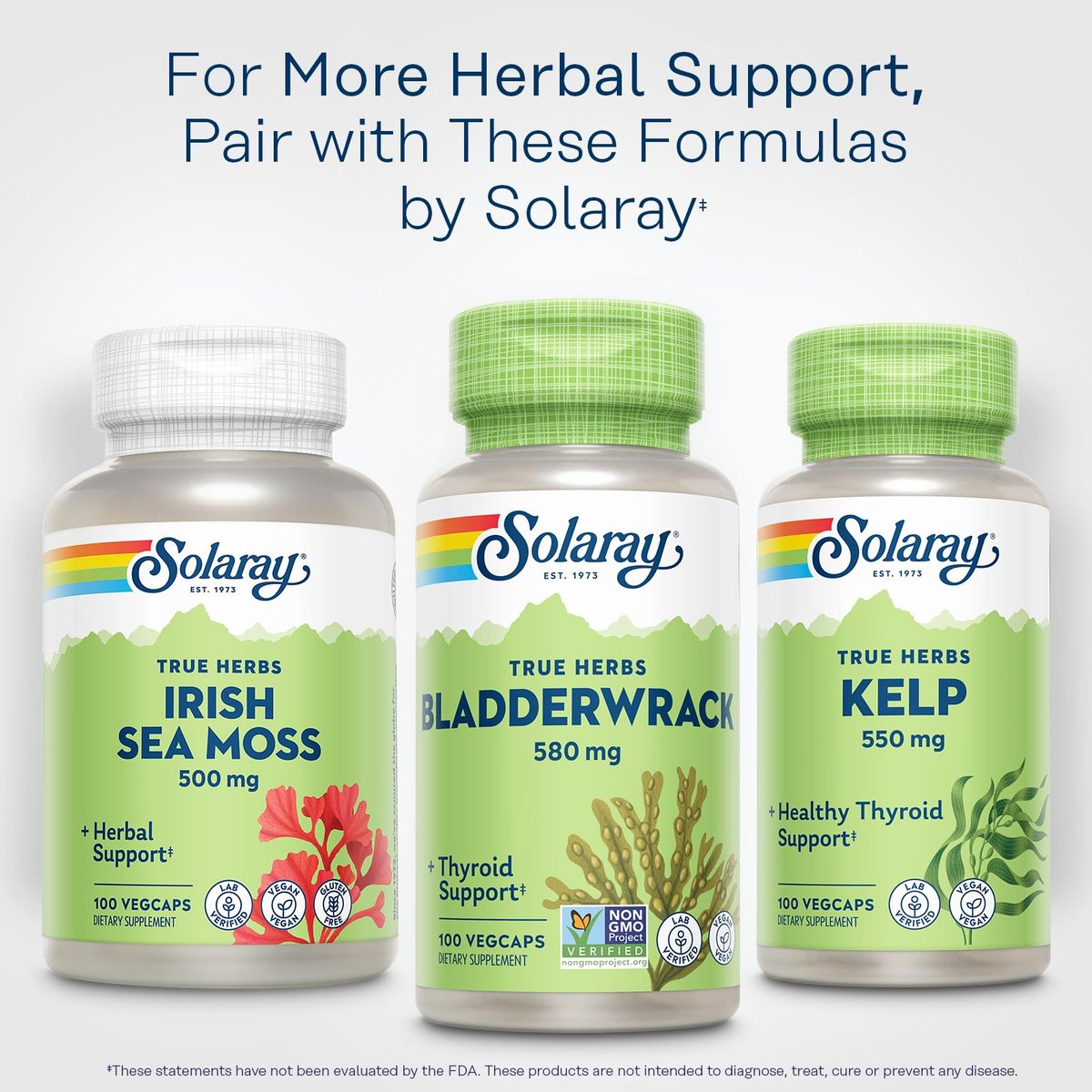 SOLARAY Blasentang Kapseln 580 mg – Jodreiches Meeresalgensupplement für die Schilddrüsenunterstützung – Vegan, Nicht-GVO, 60-Tage-Garantie – 100 VegKapseln