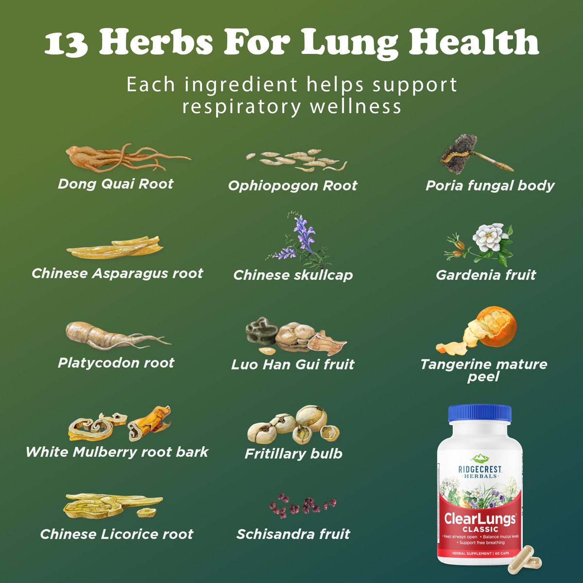 RidgeCrest Herbals ClearLungs Classic – Tägliches Kräuterergänzungsmittel für natürliche Lungen- und Nasengesundheit, Bronchial-, Atemwegs-, Immun-, Nasennebenhöhlen- und Schleimunterstützung (60 vegane Kapseln, 30 Portionen)