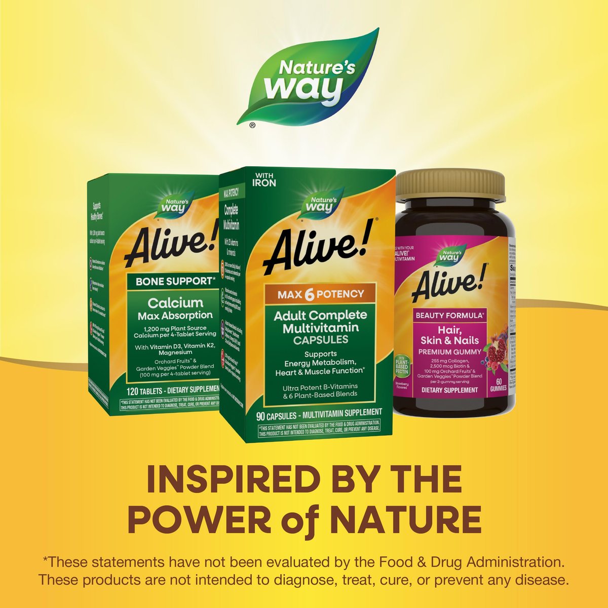 Nature's Way Alive! Max6 Potency Adult Complete Multivitamin mit Eisen, 90 Kapseln