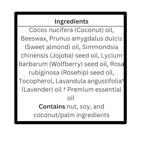 Young Living Lavendel Lippenbalsam – 0,15 oz – Ätherische Öle, beruhigt trockene Lippen, spendet Feuchtigkeit & pflegt, natürliche Lippenpflege, feuchtigkeitsspendende Lippenbehandlung