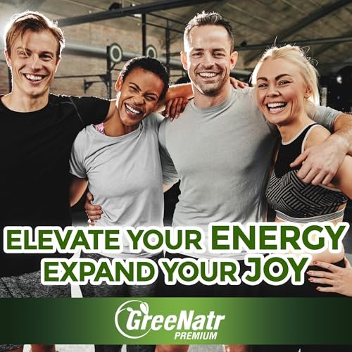 GreeNatr Ginko Biloba & Panax Ginseng Supplement – Gedächtnis & Konzentration, 60 Tabletten