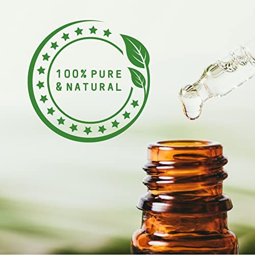 Mystic Moments | Rosmarin-Hydrolat 1 Liter – Natürliches Rosenwasser für Haut, Gesicht & Körper – Vegan & GMO-frei
