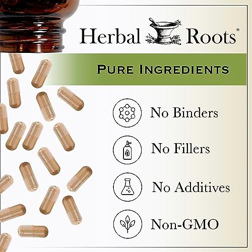 Herbal Roots Bio Apfelessig Kapseln mit Mutter und Bio Cayennepfeffer | 650 mg | 60 Vegane Kapseln
