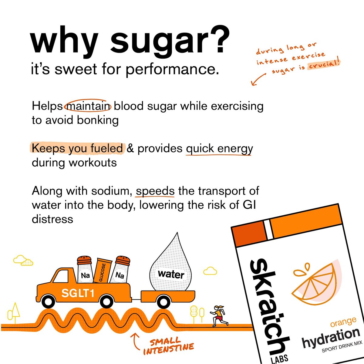 Skratch Labs Hydration Sports Drink Mix – Echter Frucht-Elektrolytpulver für schnelle Hydration & Ausdauer | Orange | 20 Portionen | Vegan, Nicht-GVO, Saubere Inhaltsstoffe
