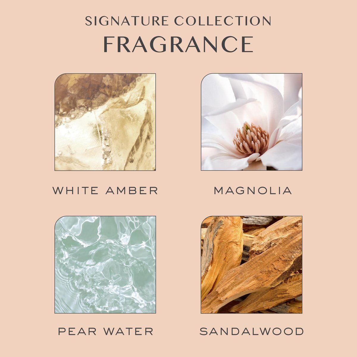 Kristin Ess Hair Extra Gentle Shampoo für empfindliche Haut und Kopfhaut, feuchtigkeitsspendendes + hydratisierendes Shampoo für trockenes Haar, vegan, farbsicher + keratinsicher, 295 ml