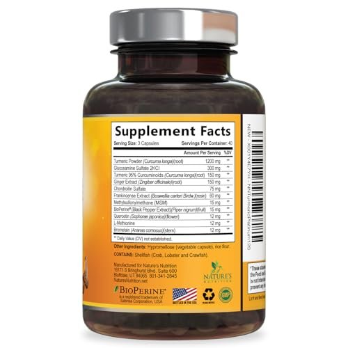 Turmeric Curcumin Komplex – 95% Curcuminoide mit Glucosamin, Ingwer & MSM, BioPerin Schwarzer Pfeffer Extrakt für beste Absorption, Natürliche vegane Gelenkunterstützung, Nicht-GVO, Abgefüllt in den USA – 120 Kapseln