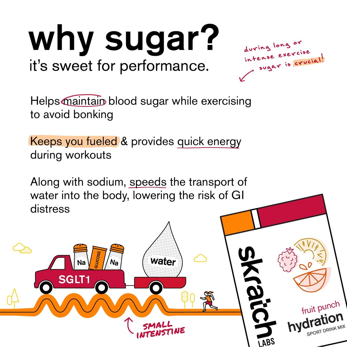 Skratch Labs Hydration Sports Drink Mix – Fruchtpunsch, 20 Portionen – Veganes, nicht-GVO Elektrolytpulver für schnelle Hydration & Ausdauer