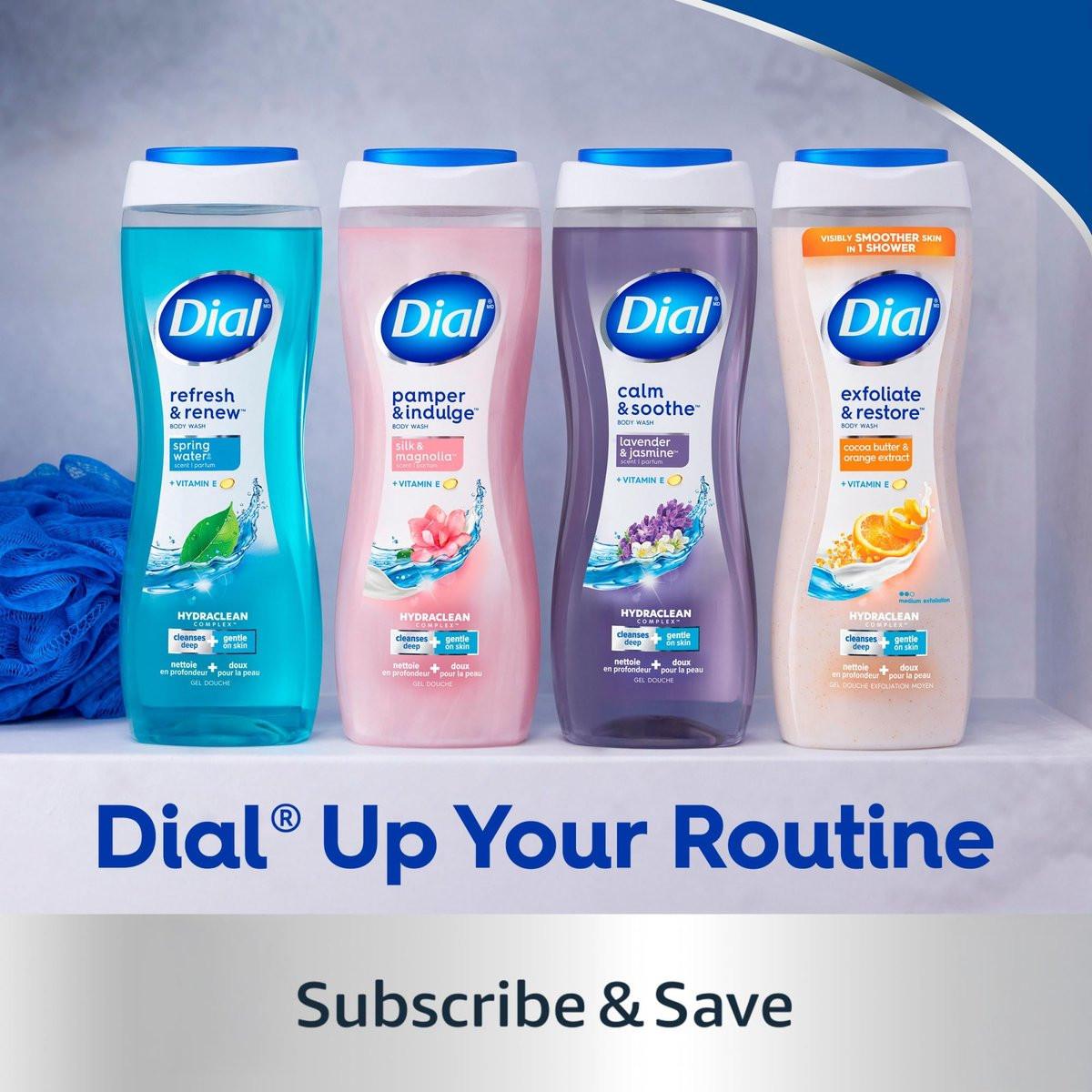 Dial Body Wash, Seide & Magnolie, 23 fl oz (3er-Pack) – Sanfte Reinigung für zarte Haut
