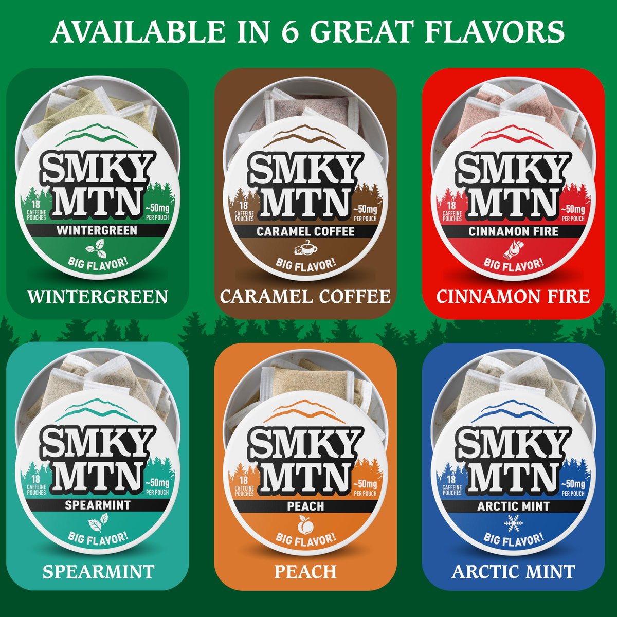 SMOKEY MOUNTAIN Koffeinhaltige Beutel – Wintergreen – Tabak- und Nikotinfrei – 5-Dosen-Box – 15 Beutel pro Dose