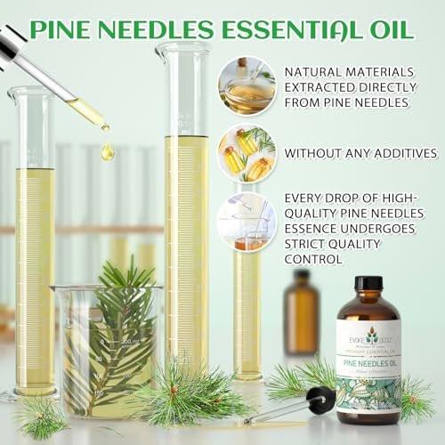 EVOKE OCCU Kiefernöl (Pinus sylvestris) für Diffuser – 118 ml – Frischer Duft für Aromatherapie, Haut- und Haarpflege, Seifen- und Kerzenherstellung
