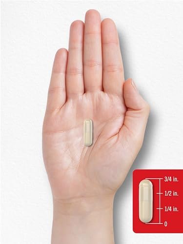 Carlyle Vitamin K2 Supplement 100 mcg | K2 MK-4 | 240 Kapseln | Non-GMO & Glutenfrei