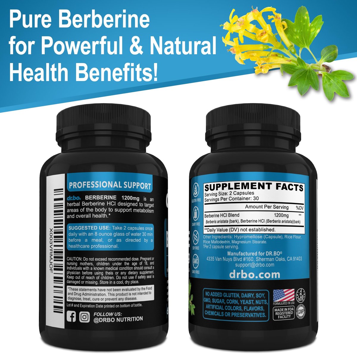 Berberin Kapseln 1200mg – Berberin HCL Nahrungsergänzung für gesunden Stoffwechsel – Premium Naturkomplex für Frauen und Männer – 60 Kapseln