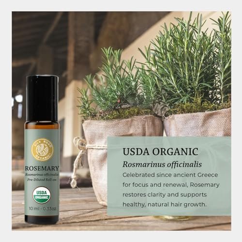 Silk Road Organic Bio Rosmarinöl & Jojoba Roll-On – USDA-zertifiziert, Fördert Haarwachstum & Gesundheit – 10 ml Aromatherapie-Roller