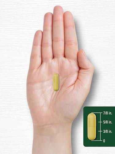 Carlyle Berberin HCL Nahrungsergänzungsmittel | 500.000 mcg | 60 Kapseln | Vegetarisch, Nicht-GVO, Glutenfrei