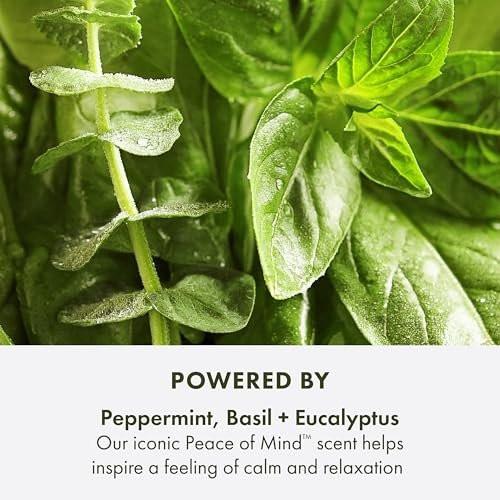 Origins Peace of Mind Exfoliating Body Scrub | Glättet raue Haut | Mit Bambus, Pfefferminze, Basilikum und Eukalyptus, 200 ml