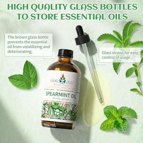 EVOKE OCCU Pfefferminzöl – Hemmt das Haarwachstum im Gesicht, erfrischt die Luft, ideal für Cremes & Lotionen – 118 ml
