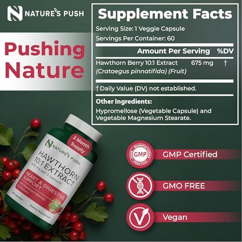 Nature's Push Super Potenter Weißdorn-Extrakt 10:1 675 mg Kapseln – Verdauung, Herzgesundheit & Glykämische Unterstützung – Extra Stark, Nicht-GMO, Glutenfrei, Vegan, GMP, USA (60 Kapseln)