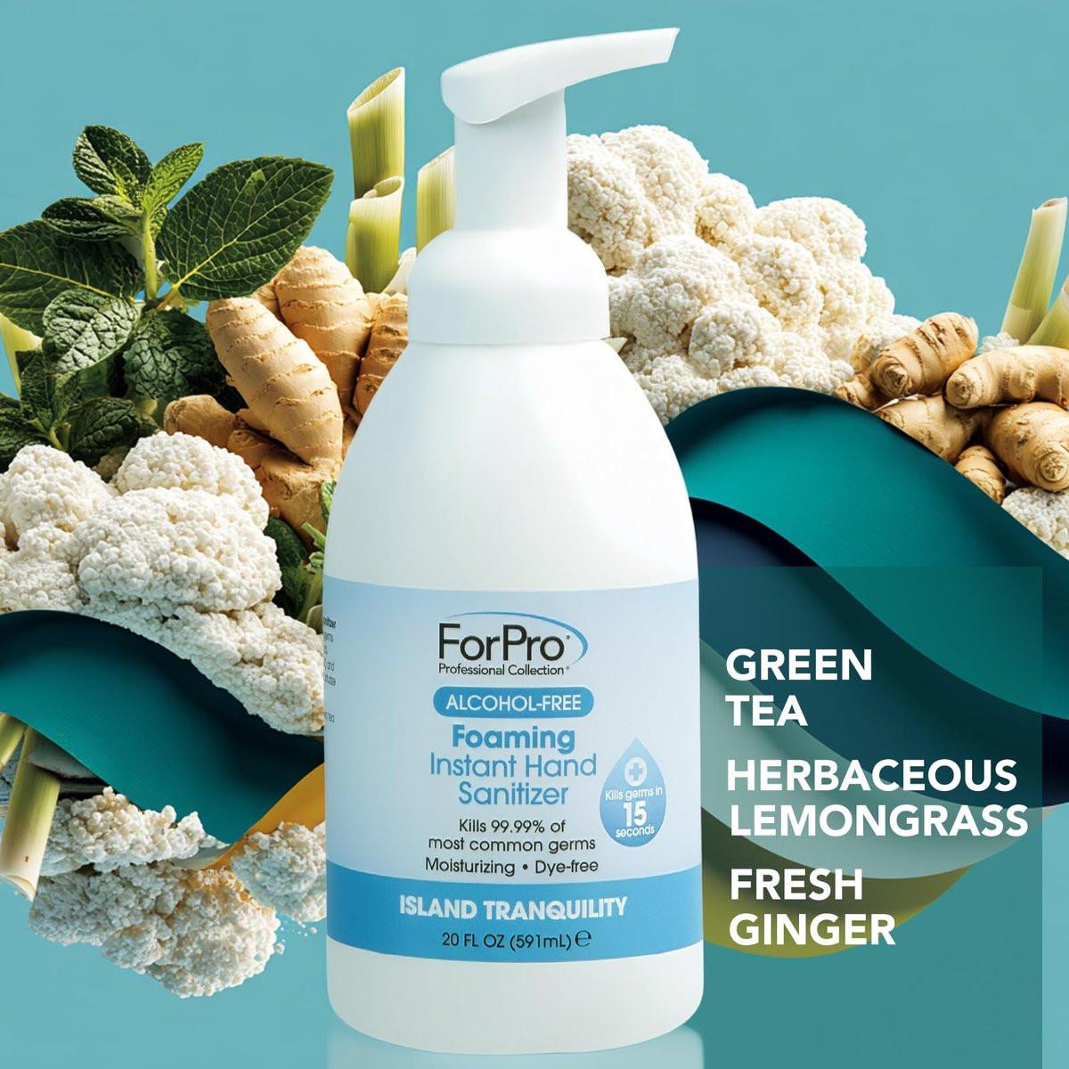 ForPro Alcoholfreier Schaum-Handreiniger, feuchtigkeitsspendend, farbstofffrei, Island Tranquility Duft, 20 Fl Oz
