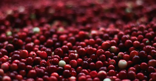Cranberry-Nahrungsergänzungsmittel in einer weißen Flasche mit frischen Cranberries auf einem hellen Holztisch – Cranberry Buying Guide