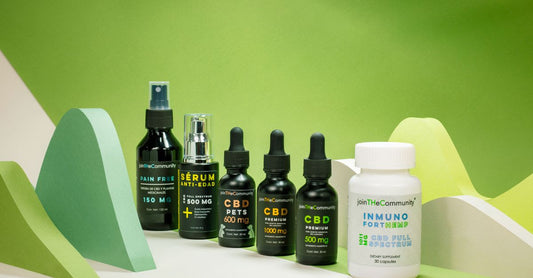 Best Sets & Kits 2026: Verschiedene Vitamin- und Supplement-Sets auf einem hellen Hintergrund angeordnet.