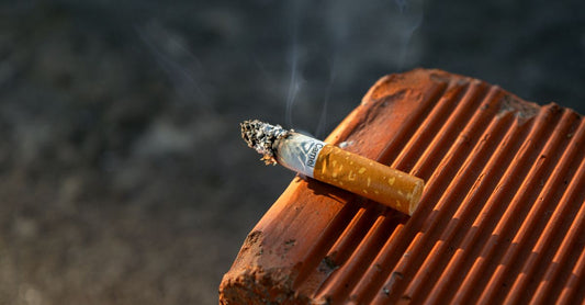Nicotine Gums & Lozenges Buying Guide: Verschiedene Nikotinkaugummis und Lutschtabletten auf einem Tisch