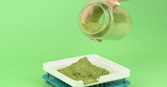 Post Workout Recovery Supplements Best: Ein Messlöffel mit weißem Proteinpulver auf einer dunklen Oberfläche.
