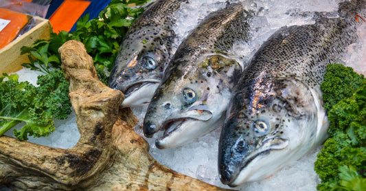 Fischöl Omega 3 Kapseln in einer Glasflasche auf einem Holztisch – Symbol für Herzgesundheit und natürliche Nahrungsergänzung.