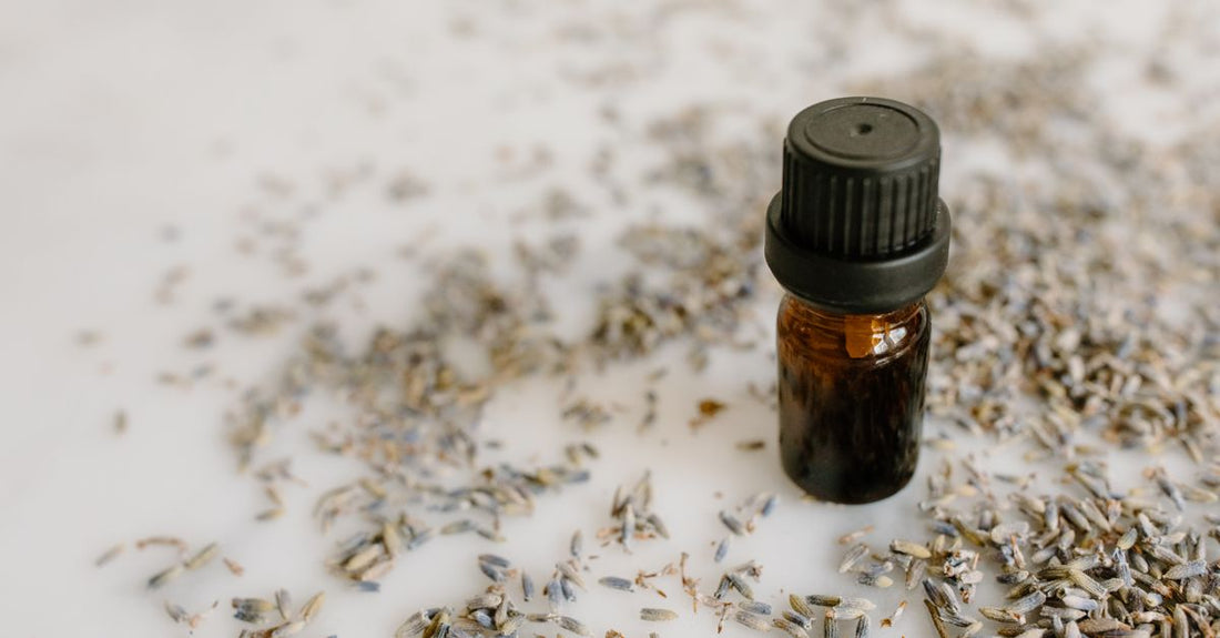 Schwarzkümmelöl-Flasche mit frischen Schwarzkümmelsamen – Black Seed Oil Benefits for Immune System