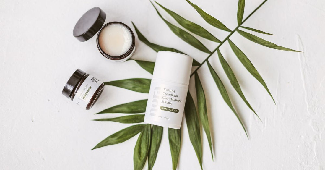 Verschiedene Salbentiegel auf weißem Hintergrund – Ointments Buying Guide 2026