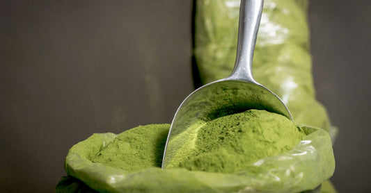 Moringa-Pulver Superfood-Vorteile in einer Holzschale mit frischen Moringa-Blättern