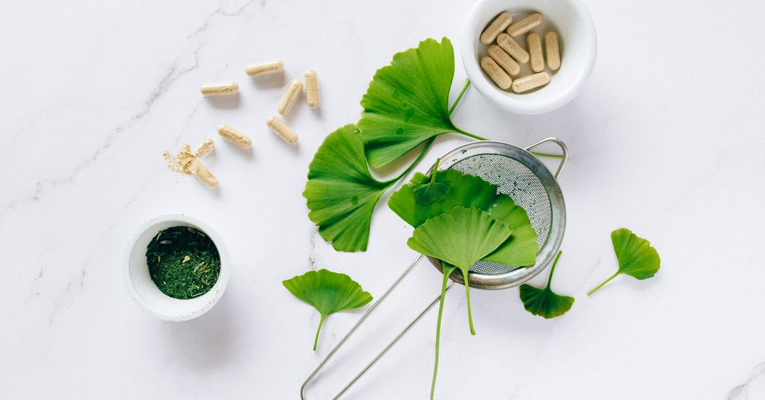 Ginkgo-Biloba-Kapseln auf einem Tisch mit frischen Ginkgoblättern – Ginkgo biloba for memory and circulation in natürlicher Darstellung.