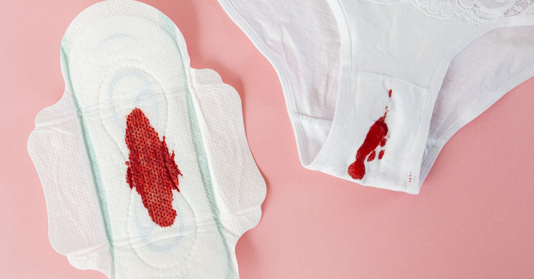 Protective Briefs & Unterwäsche Buying Guide – Schutzhosen für Erwachsene auf weißem Hintergrund
