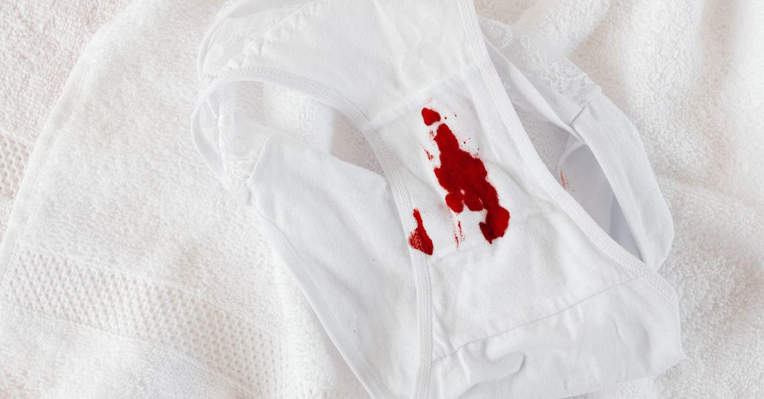 Best protective briefs & underwear 2026: drei diskrete Schutzslips nebeneinander auf hellem Hintergrund