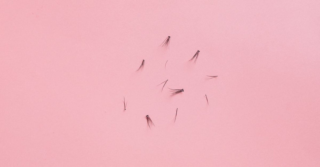 Nahaufnahme von falschen Wimpern auf weißem Hintergrund, für Anfänger geeignete 'False Lashes for Beginners How to Apply'-Anleitung