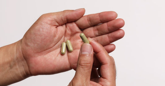 Garcinia Cambogia Kapseln als Appetitzügler in einer sauberen Produktaufnahme vor hellem Hintergrund, mit sichtbarem Etikett und Frucht daneben.