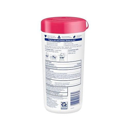 Wet Ones Antibakterielle Handtücher, Frischer Duft, 40 Tücher
