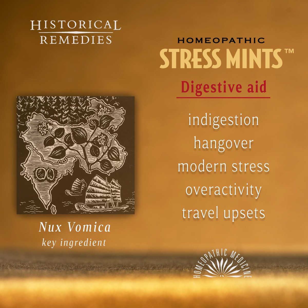 Historical Remedies Stress Mints (1 Pack) | Homöopathische Lutschpastillen gegen Stress & Verdauungsbeschwerden, Bio-Pfefferminzgeschmack, vegan & glutenfrei, nicht gewöhnungsbildend