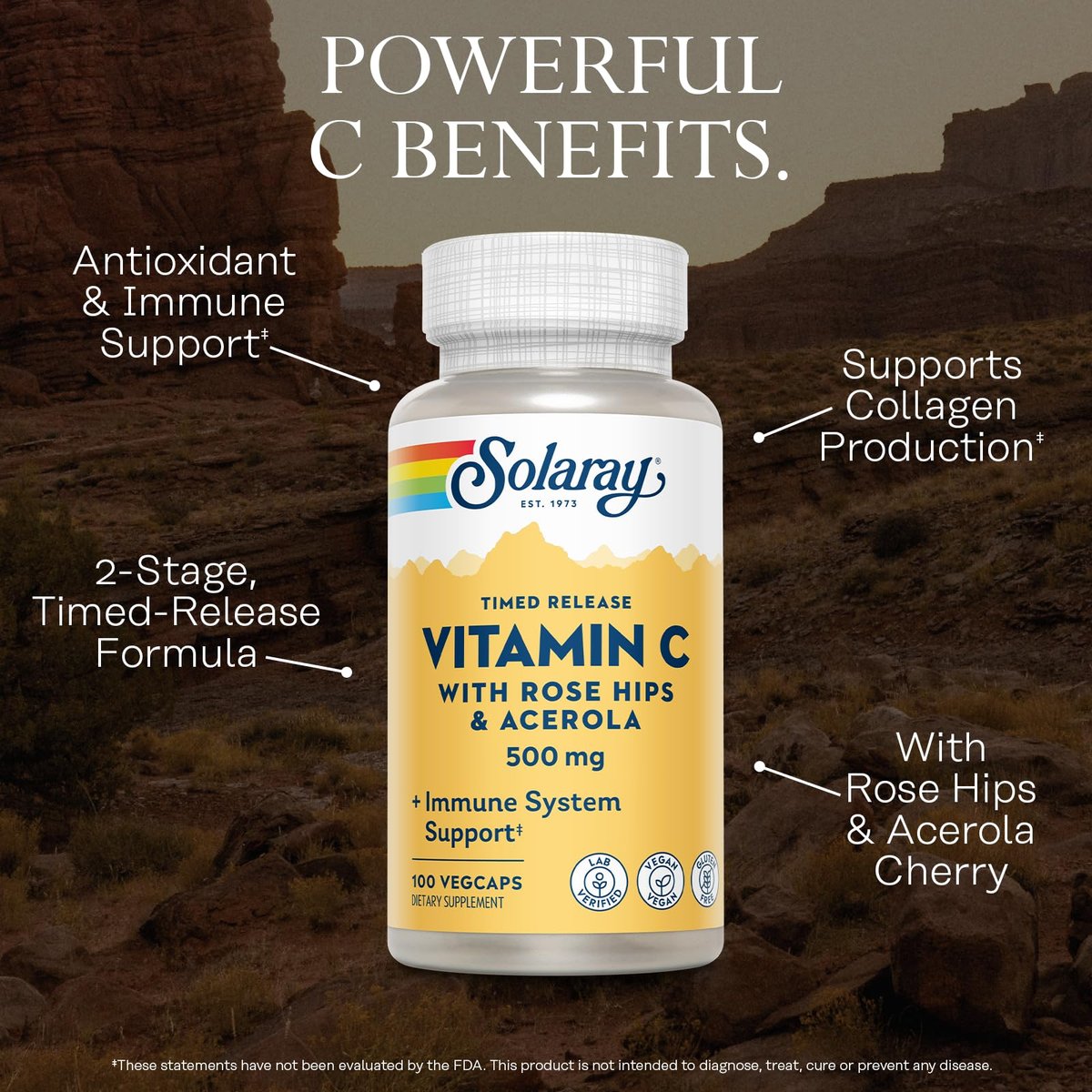 SOLARAY Vitamin C 500 mg mit Zweistufiger Zeitverzögerter Freisetzung - Antioxidans und Immunsystem-Unterstützung - mit Hagebutte und Acerola, Vegan, Glutenfrei, 60-Tage-Garantie, 100 Portionen, 100 VegKaps