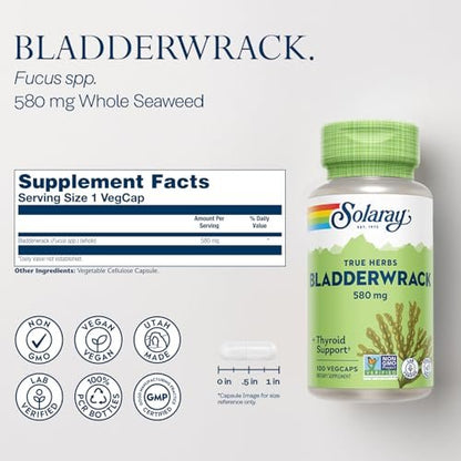 SOLARAY Blasentang Kapseln 580 mg – Jodreiches Meeresalgensupplement für die Schilddrüsenunterstützung – Vegan, Nicht-GVO, 60-Tage-Garantie – 100 VegKapseln
