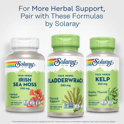 SOLARAY Blasentang Kapseln 580 mg – Jodreiches Meeresalgensupplement für die Schilddrüsenunterstützung – Vegan, Nicht-GVO, 60-Tage-Garantie – 100 VegKapseln