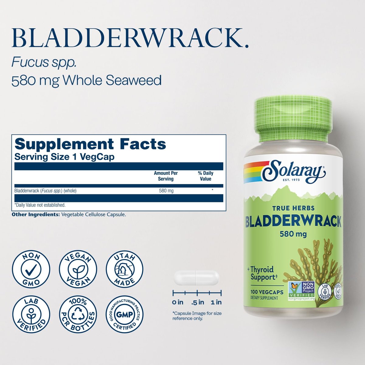 SOLARAY Blasentang Kapseln 580 mg – Jodreiches Meeresalgensupplement für die Schilddrüsenunterstützung – Vegan, Nicht-GVO, 60-Tage-Garantie – 100 VegKapseln
