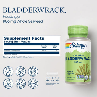 SOLARAY Blasentang Kapseln 580 mg – Jodreiches Meeresalgensupplement für die Schilddrüsenunterstützung – Vegan, Nicht-GVO, 60-Tage-Garantie – 100 VegKapseln