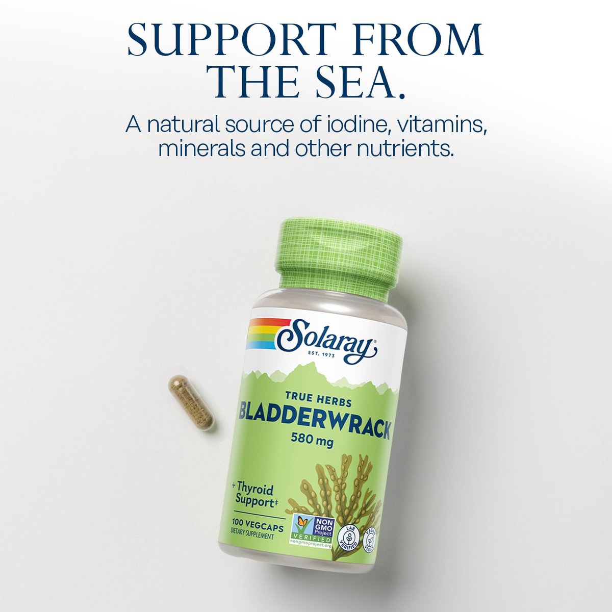 SOLARAY Blasentang Kapseln 580 mg – Jodreiches Meeresalgensupplement für die Schilddrüsenunterstützung – Vegan, Nicht-GVO, 60-Tage-Garantie – 100 VegKapseln
