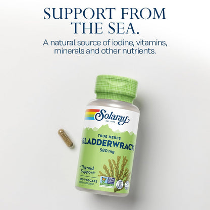 SOLARAY Blasentang Kapseln 580 mg – Jodreiches Meeresalgensupplement für die Schilddrüsenunterstützung – Vegan, Nicht-GVO, 60-Tage-Garantie – 100 VegKapseln