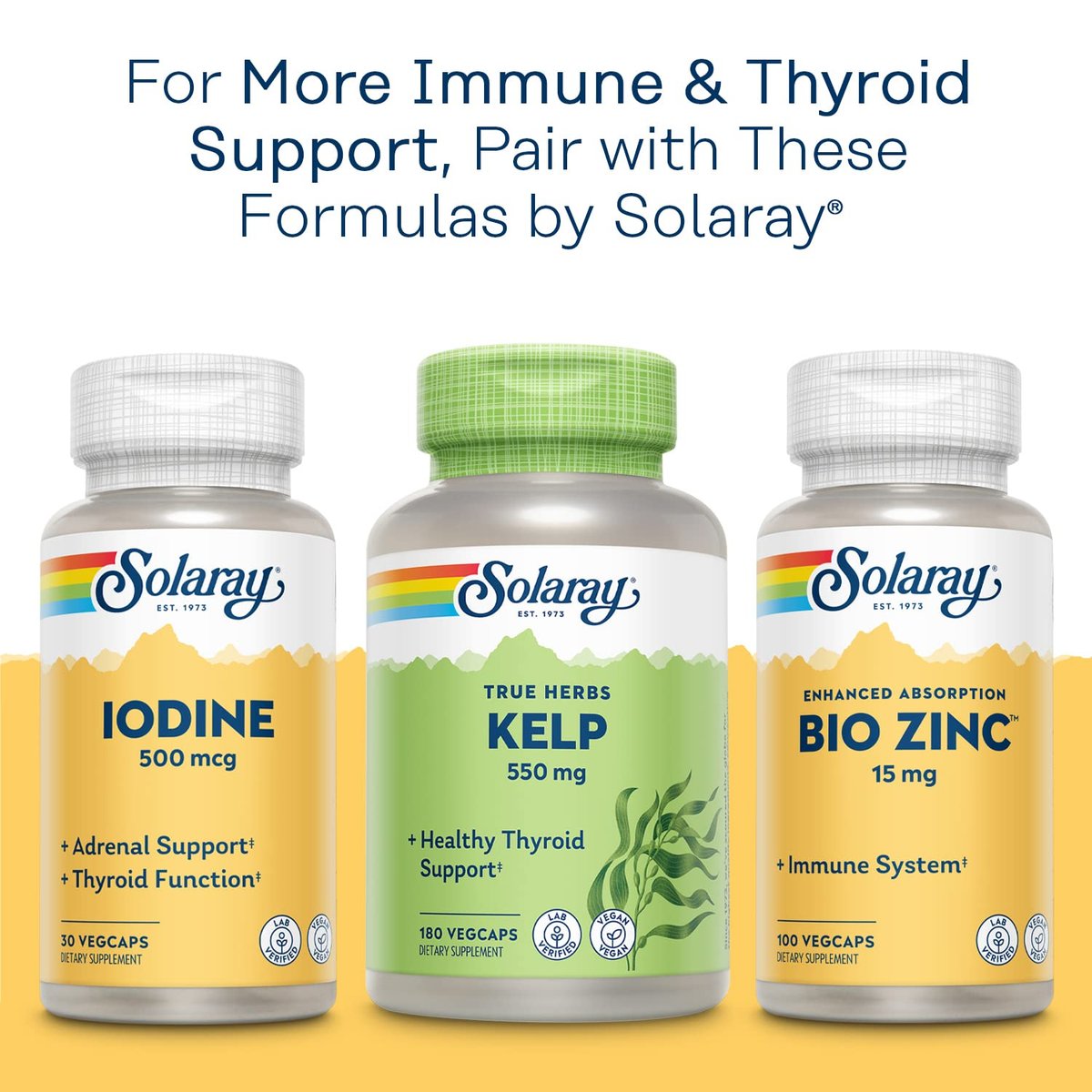 SOLARAY Selen 100 mcg Nahrungsergänzungsmittel für Frauen & Männer - Selen 100mcg Kapseln, Schilddrüsen- & Immununterstützung, Hefefrei, L-Selenomethionin, Antioxidans, Vegan - 90 Veg Kapseln