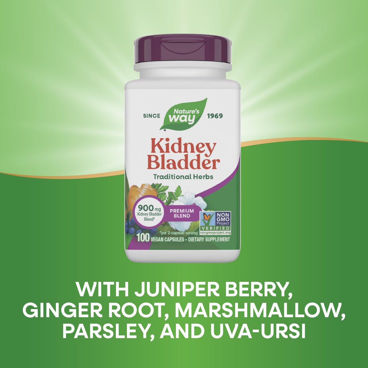 Nature's Way Nieren-Blasen Premium Blend – Traditionelles Kräuter-Supplement, 900 mg pro 2-Kapsel-Portion, Non-GMO Project verifiziert, vegan, 100 Kapseln
