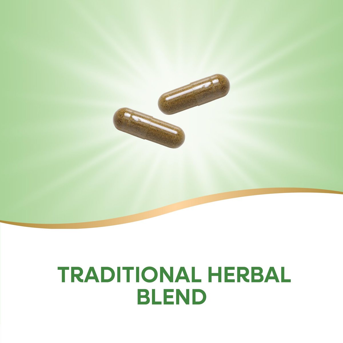 Nature's Way Nieren-Blasen Premium Blend – Traditionelles Kräuter-Supplement, 900 mg pro 2-Kapsel-Portion, Non-GMO Project verifiziert, vegan, 100 Kapseln