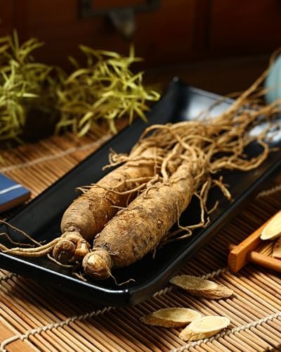 Herb Pharm Asiatischer (Panax) Ginseng Flüssig-Glycerit für Energie und Ausdauer, alkoholfrei, 29,6 ml