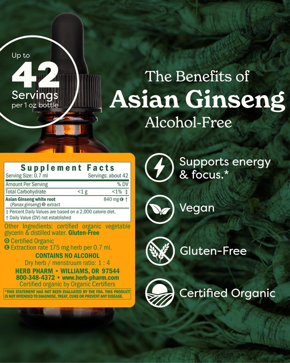 Herb Pharm Asiatischer (Panax) Ginseng Flüssig-Glycerit für Energie und Ausdauer, alkoholfrei, 29,6 ml