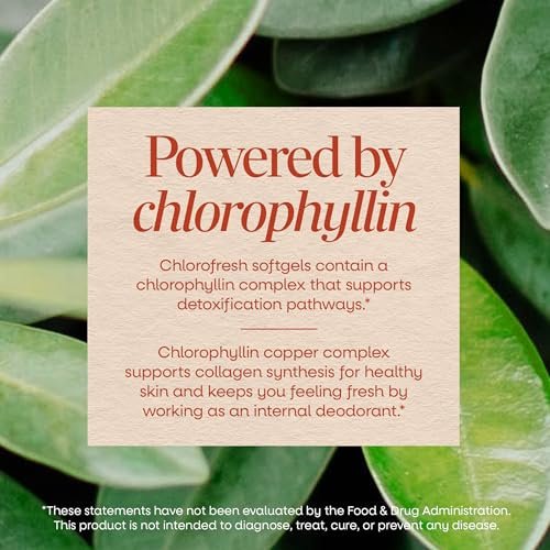 Nature's Way Chlorofresh Chlorophyll-Konzentrat Weichkapseln, Chlorophyllin-Kupfer-Komplex, Inneres Deodorant, Unterstützt gesunde Haut und Entgiftungswege*, 90 Weichkapseln (Verpackung kann variieren)